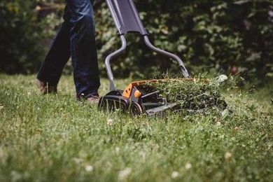 Winter's Coming: When To Stop Mowing Your Lawn