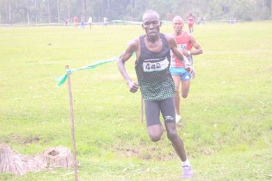 Track rabbits unravelled: Art and craft of pacesetting