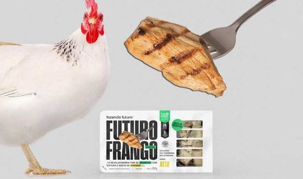 Brazilian Startup Launches Next-Level Vegan Chicken