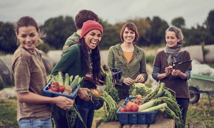 A Practical Approach to Making Co-ops Work