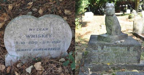 Do All Dogs Go To Heaven? Pet Cemeteries and Belief in an Animal Afterlife