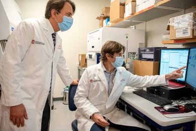 Ohio State Researchers Identify Cell That Could Help Treat Nerve Damage