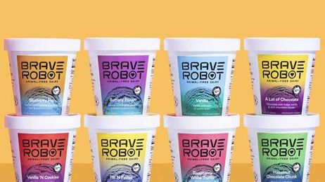 Vegan Ice Cream…Made From Milk?