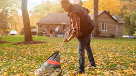 7 Yard Maintenance Must-Haves for New Homeowners