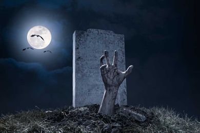 The Revival: a “Poefect” Solution to Resurrecting Your Company in a Heartbeat