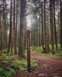 5 Stanley Park Trails You Should Explore