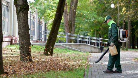 Ask the Gardener: The case against gas-powered leaf blowers