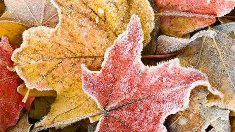 This is how frost forms