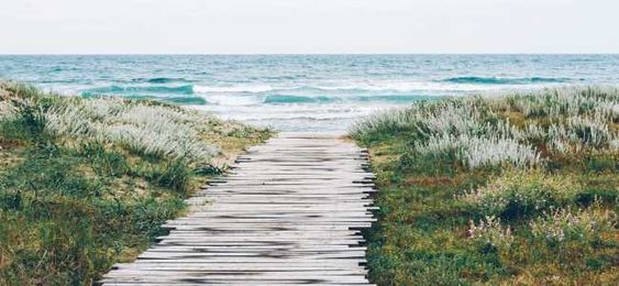 Finding the Right Path