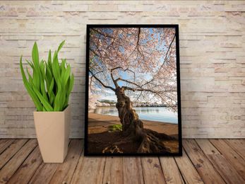 8 Crucial Steps to Prepare Images for Printing