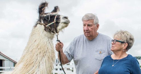 ‘Hospital at home’ patient: ‘They spoiled me. I couldn’t have asked…