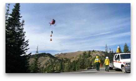 Why Mountain Goats Are Flying to the Cascades