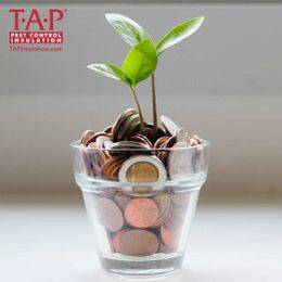 Energy Savings That Count — TAP® Pest Control Insulation