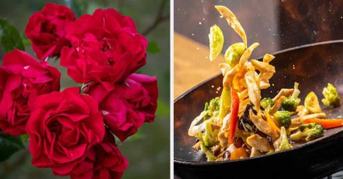 Make A Stir Fry And We’ll Tell You What Flower You’re Most Like