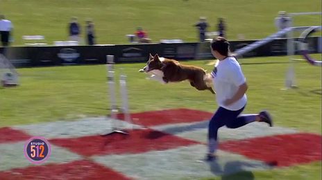 Purina Pro Plan Incredible Dog Challenge