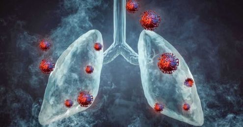 Lung damage possible for people who rely on wood-fire cooking