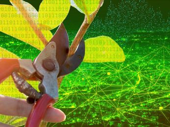 Binarized neural networks show promise for fast, accurate machine learning