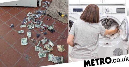Photo shows why you should open up your old tumble dryer before chucking it away