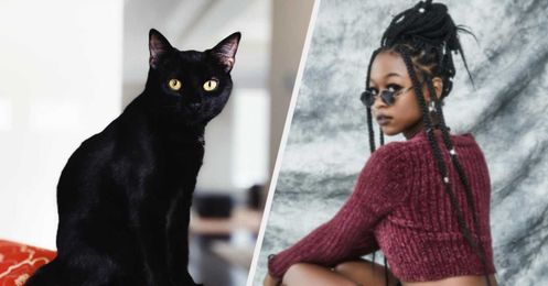 What Animal Is Destined To Be Your Familiar?