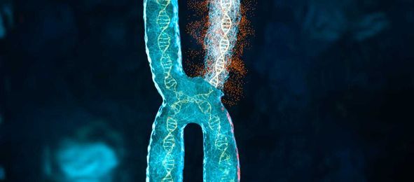 Are the Chinese collecting the world's DNA?