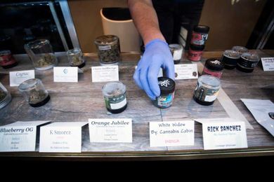 Marijuana has grown to become Maine’s most valuable crop