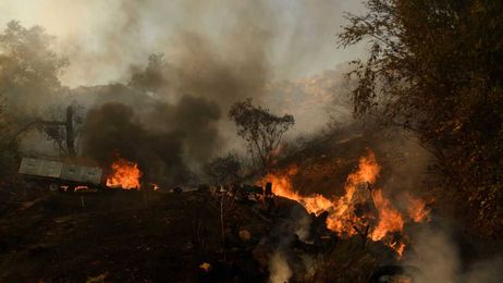 The World Could Warm 6 Degrees Unless It Spends on a Green Recovery