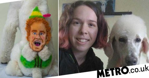 Dog groomer dyes her poodle's fur to look like Buddy the elf