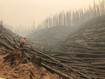 How Mass Timber Could Help Reduce Wildfire Risk