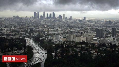 Human-made objects to outweigh living things