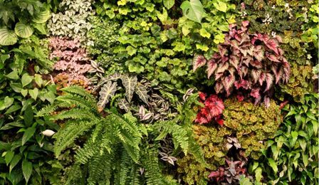 What You Need to Know About Indoor Vertical Gardens