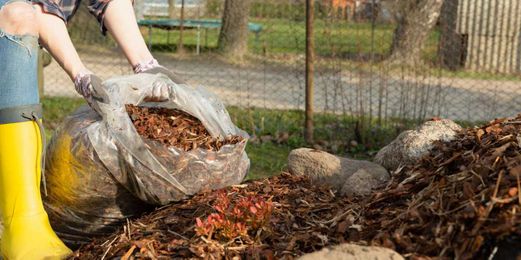 How to Protect Your Septic System This Winter