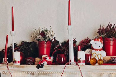 So, You Bought  an Ornamental Nut Sack