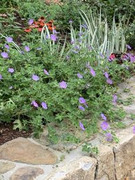 Make Gardens You Love