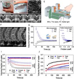 Fingerprint ridges allow primates to regulate grip