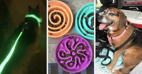 28 Things From Amazon That Are Clever Solutions To Everyday Pet Problems