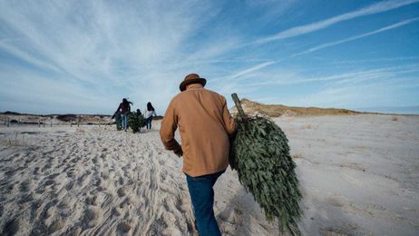 Hope for the holidays? Start with your Christmas tree