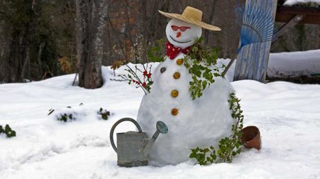 3 Tips to Prep Your Garden for Winter Right Now