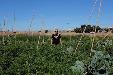 Is farming with reclaimed water the solution to a drier future?