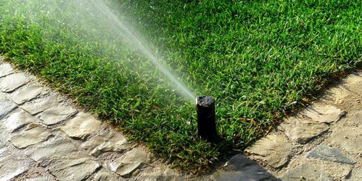 4 Landscaping Tips for Homes With Septic Systems