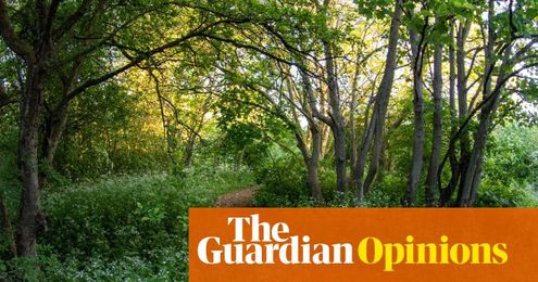 The lesson I learned at my local dump? There are beautiful times up ahead