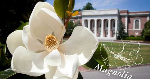 Caring for Duke’s Canopy