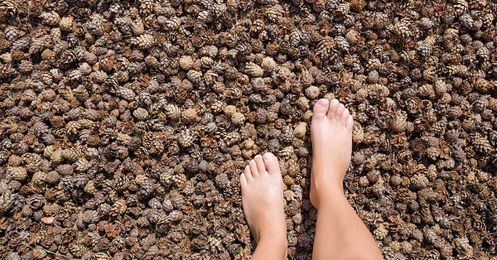 What Is Grounding and Can It Help Improve Your Health?