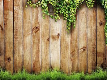 How To Choose Fence-Friendly Vines To Enhance Your Wooden Fence