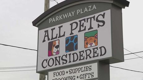 Small Business Spotlight: All Pets Considered