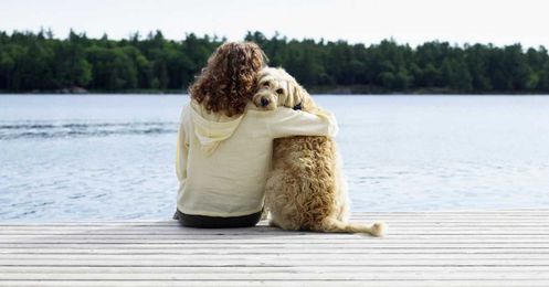 Dogs Bring More Germs In, But Research Says They Still Make Us Healthier