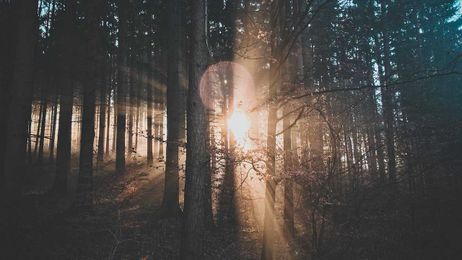 When God Says No To Earnest Prayers, Pt.1