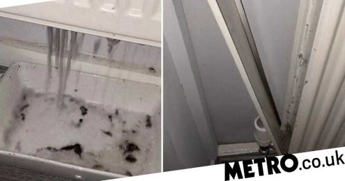 Cleaning influencer shows why you should wash your radiators
