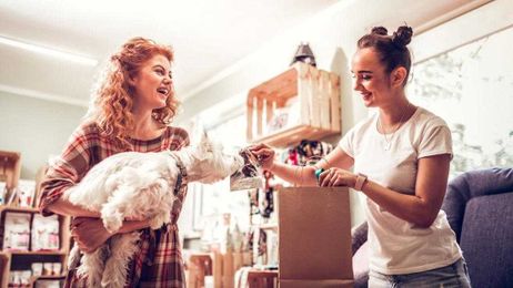 Surprising places where your pooch can shop with you