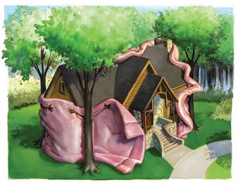 Why Timber Frame Homes are so Sustainable