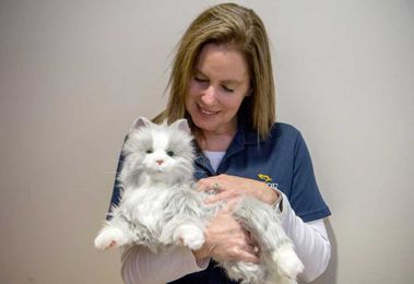 Hospice uses robotic animals to comfort lonely patients